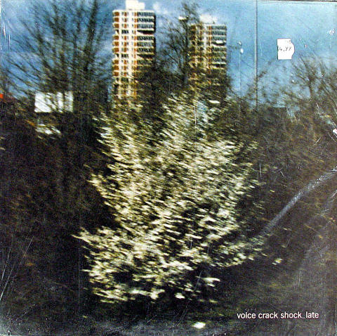 Voice Crack Vinyl 12"