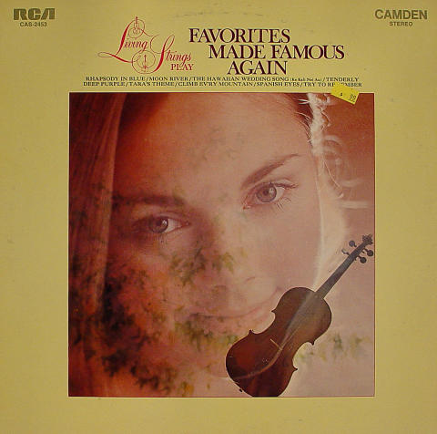 Living Strings Vinyl 12"