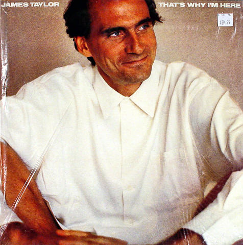 James Taylor Vinyl 12"