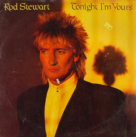 Rod Stewart Vinyl 12"