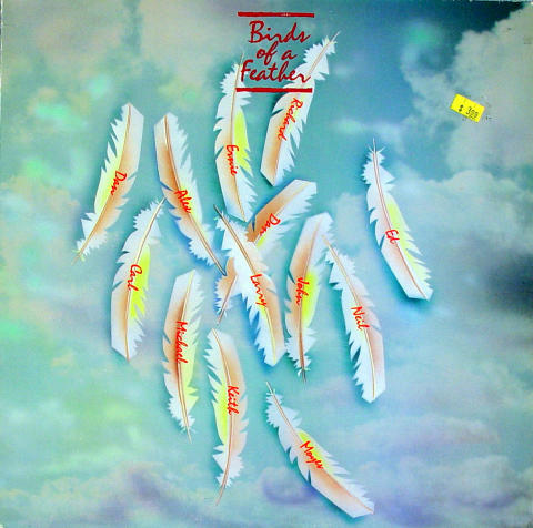 Birds of a Feather Vinyl 12"