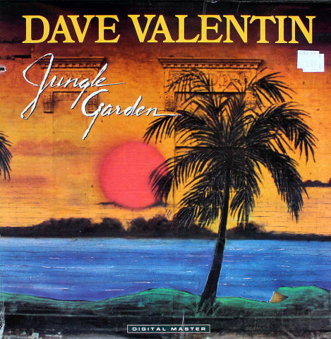 Dave Valentin Vinyl 12"
