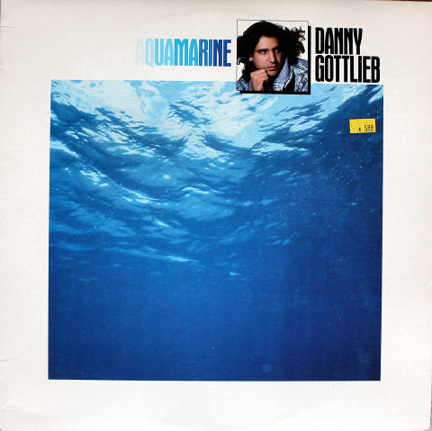 Danny Gottlieb Vinyl 12"