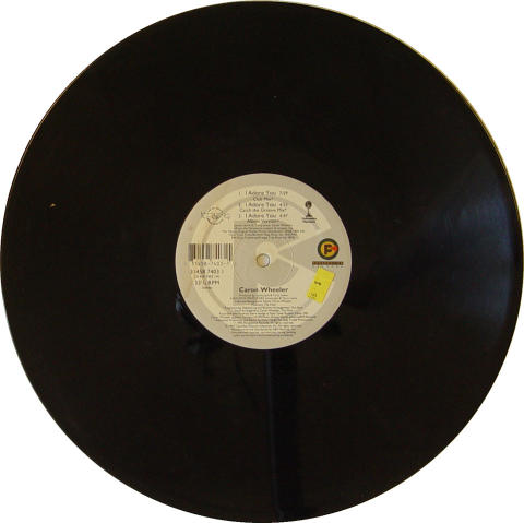 Caron Wheeler Vinyl 12"
