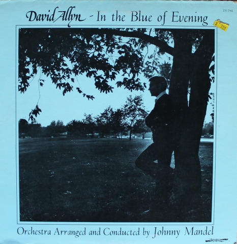 David Allyn Vinyl 12"