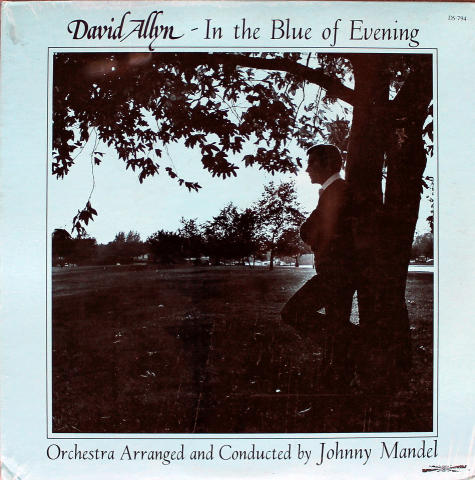 David Allyn Vinyl 12"