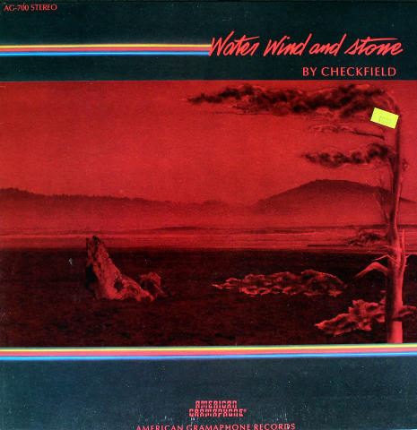 Checkfield Vinyl 12"