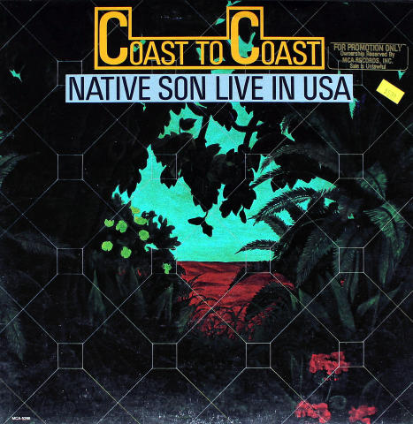 Native Son Vinyl 12"