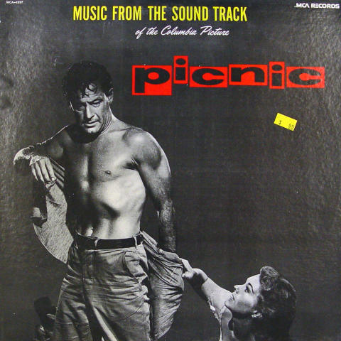 Picnic Vinyl 12"