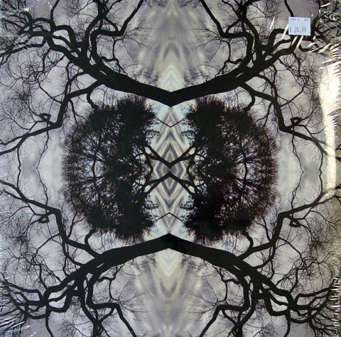 Adam Rudolph Vinyl 12"