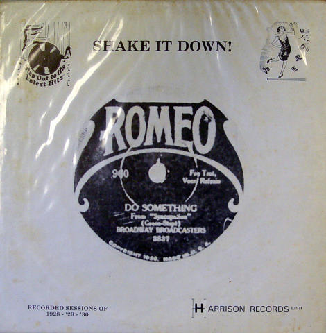 Shake It Down! Vinyl 12"