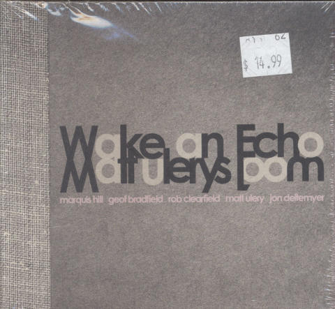 Matt Ulery's Loom CD