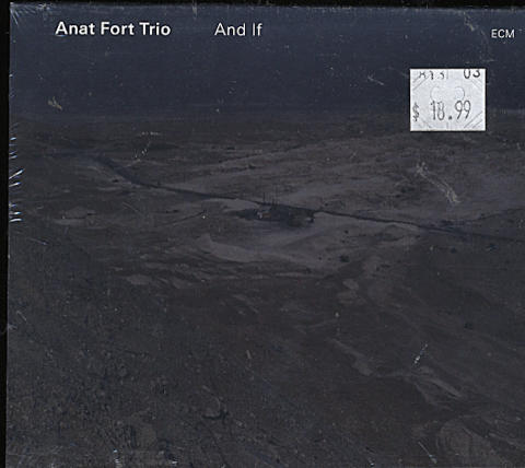 Anat Fort Trio CD