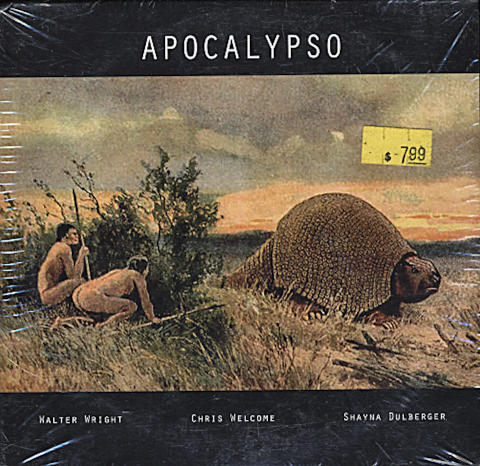 Walter Wright / Chris Welcome / Shayna Dulberger CD