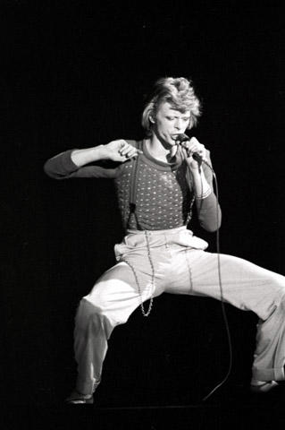 David Bowie Fine Art Print