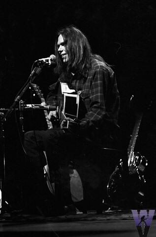 Neil Young Fine Art Print