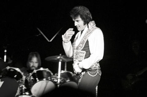 Elvis Presley Fine Art Print