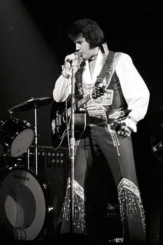 Elvis Presley Fine Art Print