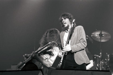 Allen Collins Fine Art Print