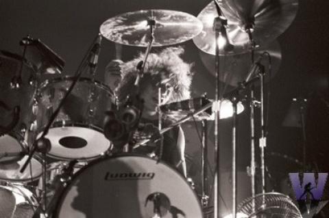 Alex Van Halen Fine Art Print