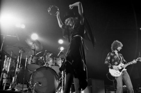 Stevie Nicks Fine Art Print