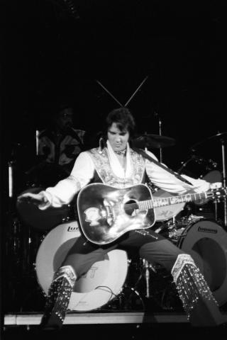 Elvis Presley Fine Art Print