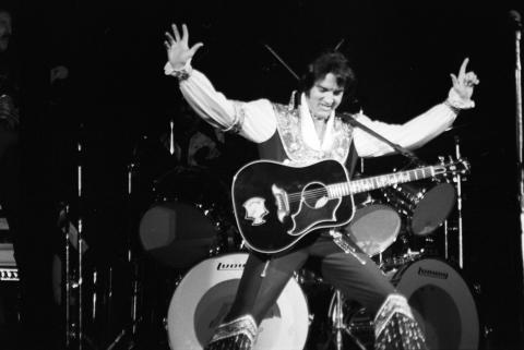 Elvis Presley Fine Art Print