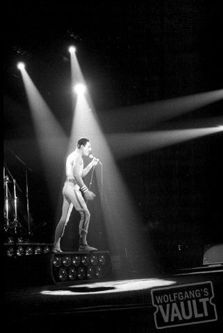 Freddie Mercury Fine Art Print
