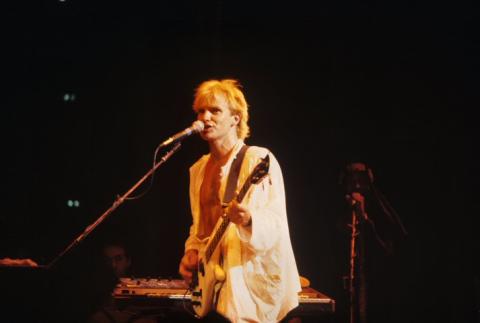 Sting Fine Art Print