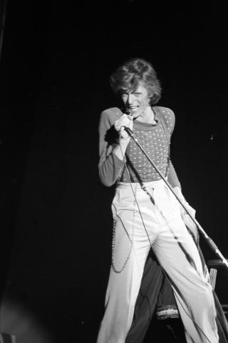 David Bowie Fine Art Print