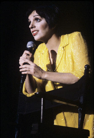 Liza Minnelli Fine Art Print