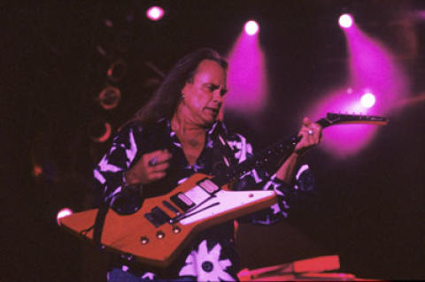 Lynyrd Skynyrd Fine Art Print