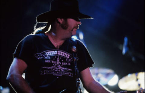 Lynyrd Skynyrd Fine Art Print