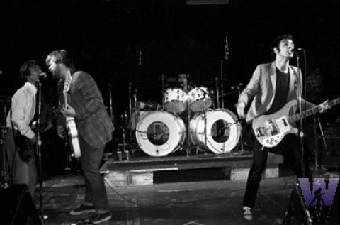 The Laughing Dogs Fine Art Print