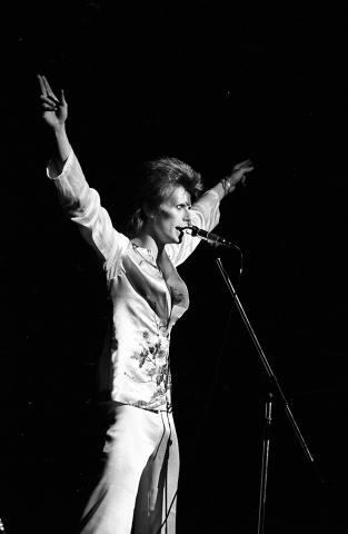 David Bowie Fine Art Print