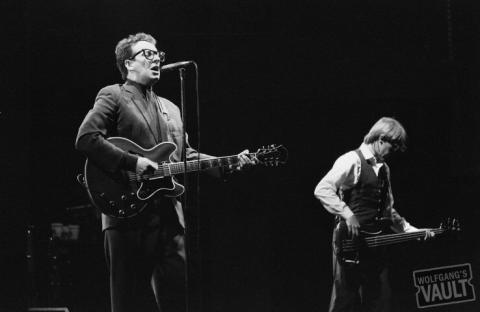 Elvis Costello Fine Art Print