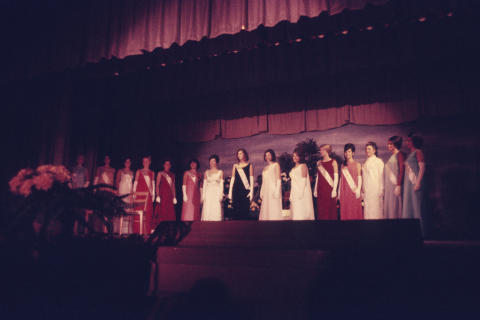 Women of the 60s-70s Fine Art Print