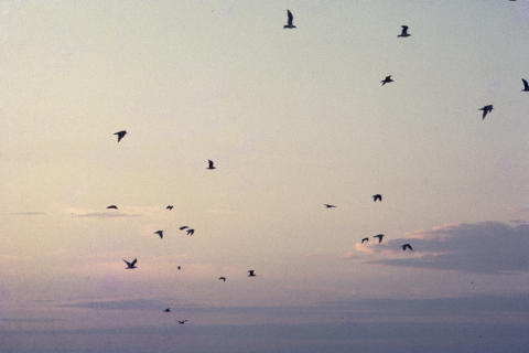 Scenery & Places Fine Art Print