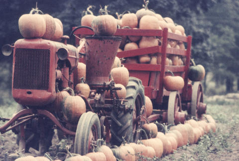 Scenery & Places Fine Art Print