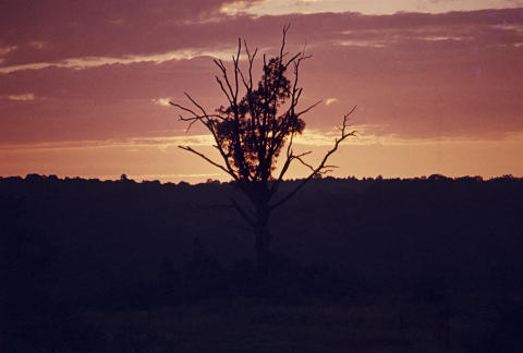 Scenery & Places Fine Art Print