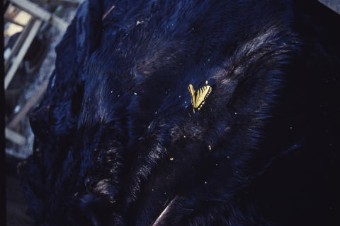 Scenery & Places Fine Art Print