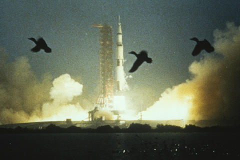 Scenery & Nature Fine Art Print