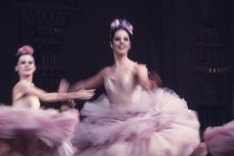 The Nutcracker Fine Art Print