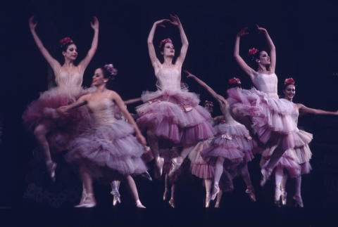 The Nutcracker Fine Art Print