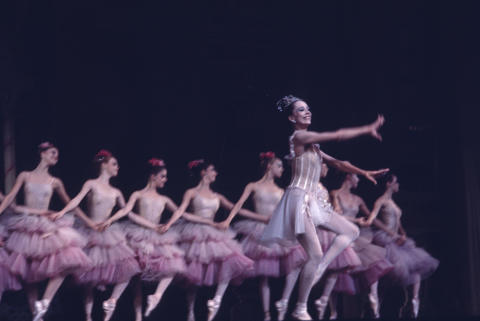 The Nutcracker Fine Art Print