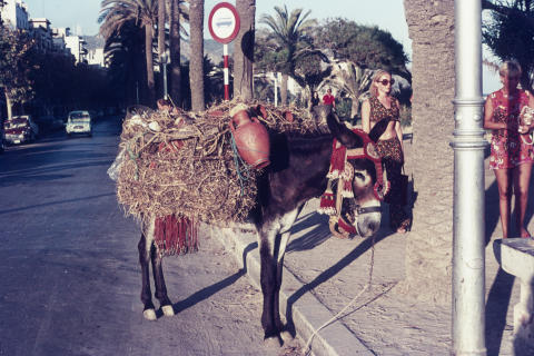 Spain Fine Art Print