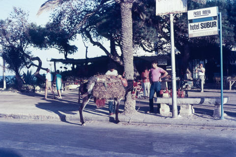 Spain Fine Art Print