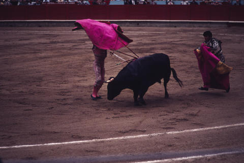 Spain Fine Art Print