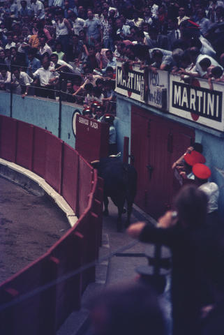 Spain Fine Art Print