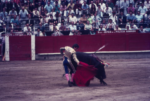 Spain Fine Art Print